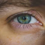 Identify objects in photos at human-level accuracy.