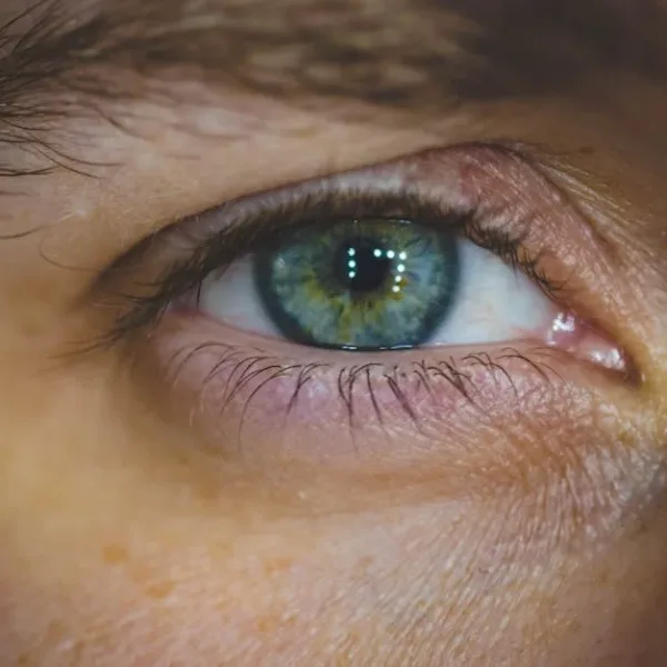 Can AI identify objects in photos at human-level accuracy?