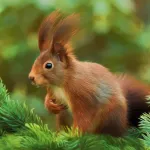 Convert a photo to a chosen painting style.