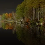 Generate working unit tests from a description of intent.