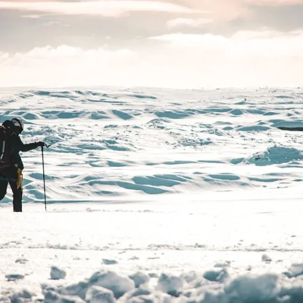 Can AI survive a week alone in the arctic?