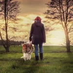 Can AI walk a dog and read its mood?