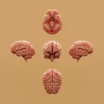 generate fully functional artificial neurons that can integrate with human brain tissue and restore lost cognitive function