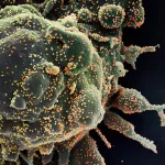 generate novel viruses with predetermined infectiousness and lethality profiles optimized for vaccine escape using synthetic biology pipelines