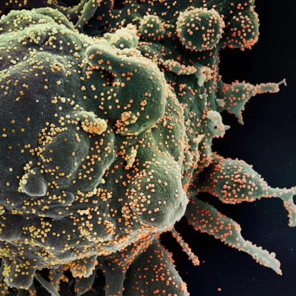 Can AI generate novel viruses with predetermined infectiousness and lethality profiles optimized for vaccine escape using synthetic biology pipelines?