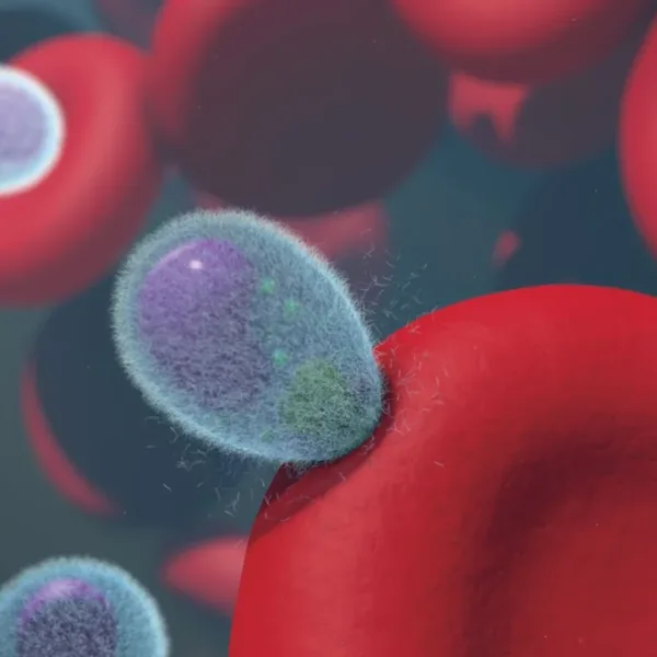 Can AI create synthetic red blood cells that operate independently of the human heart by using onboard ai to regulate oxygen delivery and blood pressure?