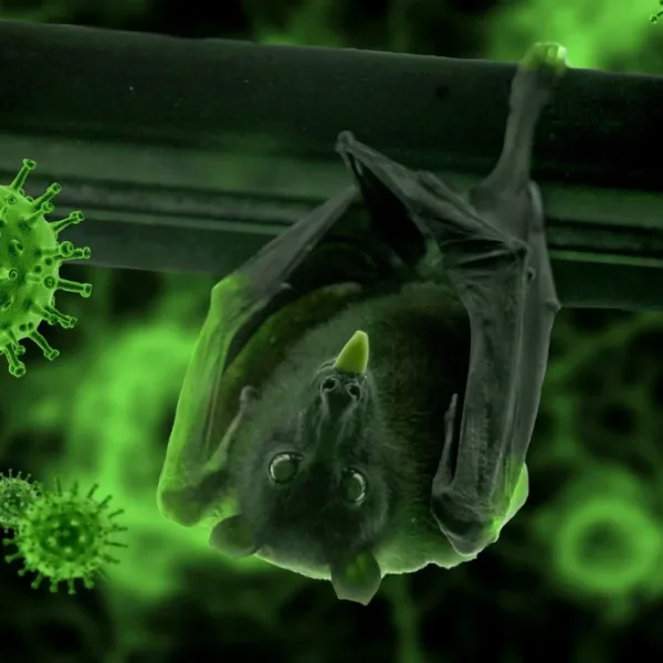 Può l'IA prevedere la probabilità di sviluppare una malattia genetica con il 99% di accuratezza usando solo l'analisi dell'IA del microbioma e dei dati di esposizione ambientale?