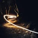 predict and redirect the evolutionary path of sentient AI networks across the internet