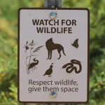 choose which species survive the sixth mass extinction