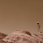 determine whether Earth should be terraformed for AI or human survival