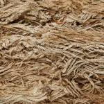 develop new sustainable materials