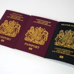 forge passport photo images and fake an avatar to fool identification methods