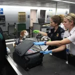 pick suspicious people out of a line-up at customs
