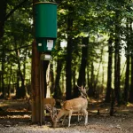 detect and govern wildlife populations