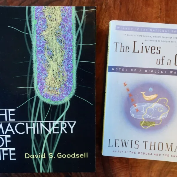 Can AI invent a new form of bacteria that produces a life-saving drug?