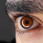 detect certain diseases by looking at images of eyes