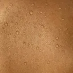 detect certain diseases by looking at images of skin