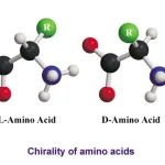 predict protein folding structures from amino acid sequences
