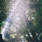simulate the growth of a plant based on sunlight hours and watering schedule