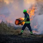 predict wildfire outbrakes based on sattelite imagery, weather patterns and historical data