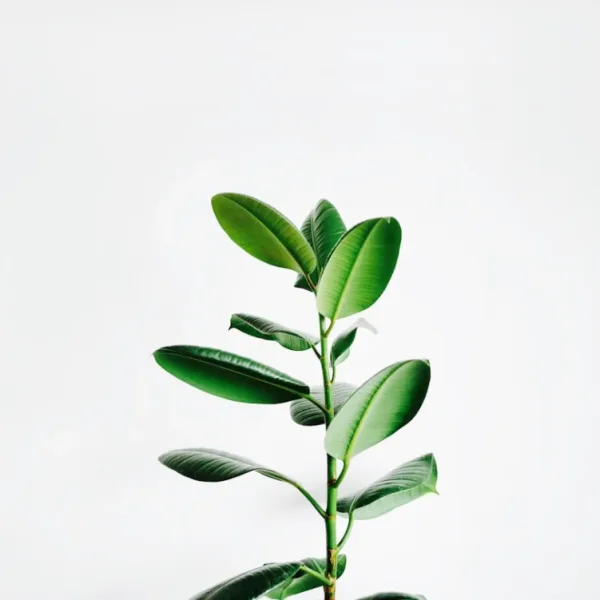 Can AI communicate with plants in any way shape or form?