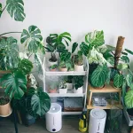 communicate with plants in any way shape or form