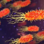 help eradicate certain diseases purely by helping medical staff act early upon data anaysis