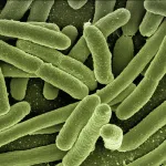 help eradicate certain diseases purely by helping medical staff act early upon data anaysis