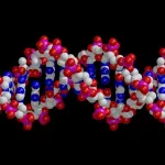 find new functions connected to nucleotides in DNA