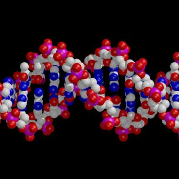 Can AI find new functions connected to nucleotides in dna?