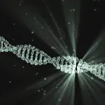 find new functions connected to nucleotides in DNA