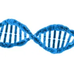 find new functions connected to nucleotides in DNA